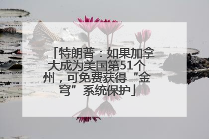 特朗普：如果加拿大成为美国第51个州，可免费获得“金穹”系统保护