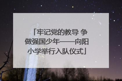 牢记党的教导 争做强国少年——向阳小学举行入队仪式