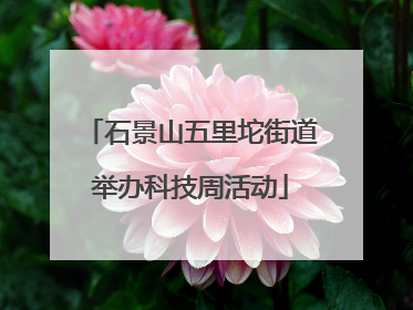 石景山五里坨街道举办科技周活动