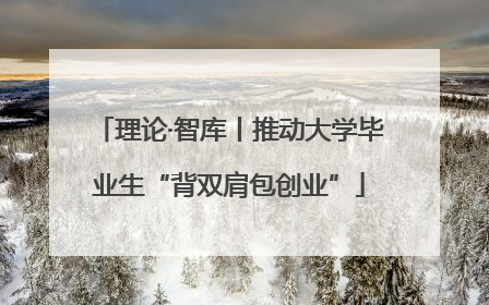 理论·智库丨推动大学毕业生“背双肩包创业”