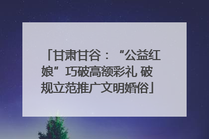 甘肃甘谷：“公益红娘”巧破高额彩礼 破规立范推广文明婚俗