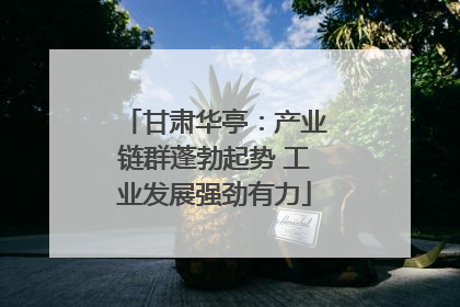 甘肃华亭：产业链群蓬勃起势 工业发展强劲有力
