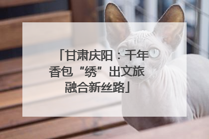 甘肃庆阳：千年香包“绣”出文旅融合新丝路