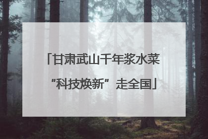 甘肃武山千年浆水菜“科技焕新”走全国