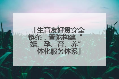 生育友好贯穿全链条，普陀构建“婚、孕、育、养”一体化服务体系
