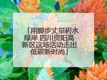 用脚步丈量碧水绿岸 四川资阳高新区这场活动走出低碳新时尚