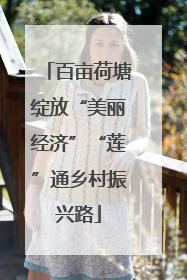 百亩荷塘绽放“美丽经济”“莲”通乡村振兴路