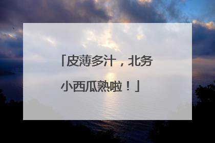 皮薄多汁，北务小西瓜熟啦！