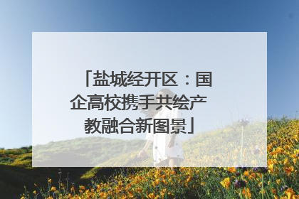 盐城经开区：国企高校携手共绘产教融合新图景