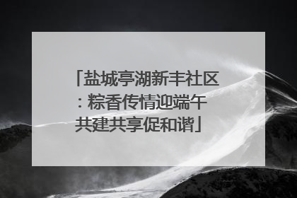 盐城亭湖新丰社区：粽香传情迎端午 共建共享促和谐