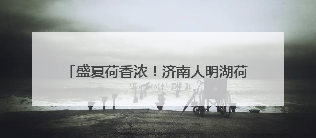 盛夏荷香浓！济南大明湖荷花率先开启“颜值暴击”