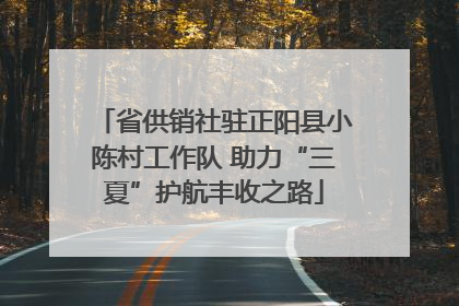 省供销社驻正阳县小陈村工作队 助力“三夏”护航丰收之路