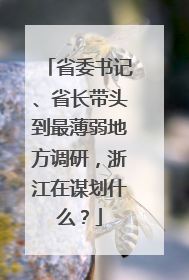 省委书记、省长带头到最薄弱地方调研，浙江在谋划什么？