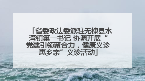省委政法委派驻无棣县水湾镇第一书记 协调开展“党建引领聚合力，健康义诊惠乡亲”义诊活动