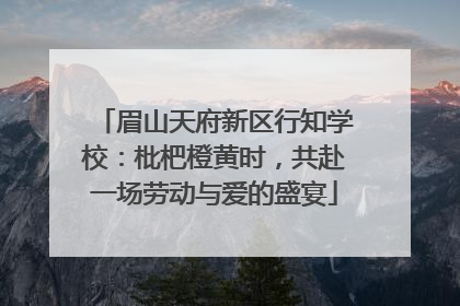眉山天府新区行知学校：枇杷橙黄时，共赴一场劳动与爱的盛宴