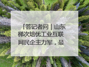 答记者问｜山东梯次培优工业互联网民企主力军，最高一次性奖补500万元