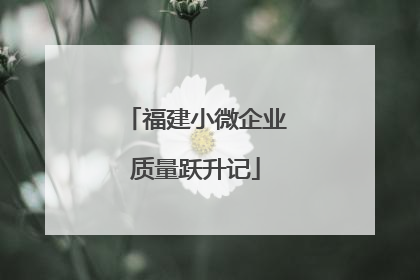 福建小微企业质量跃升记