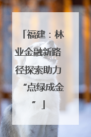 福建：林业金融新路径探索助力“点绿成金”