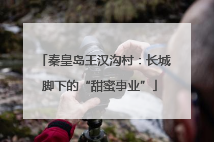 秦皇岛王汉沟村：长城脚下的“甜蜜事业”