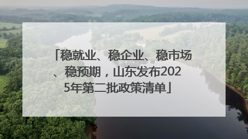 稳就业、稳企业、稳市场、稳预期，山东发布2025年第二批政策清单