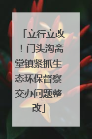 立行立改！门头沟斋堂镇紧抓生态环保督察交办问题整改
