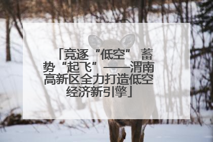 竞逐“低空” 蓄势“起飞”——渭南高新区全力打造低空经济新引擎