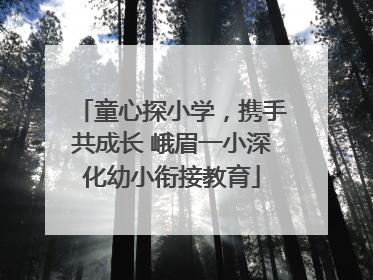 童心探小学，携手共成长 峨眉一小深化幼小衔接教育