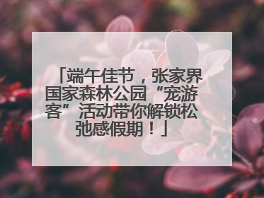端午佳节，张家界国家森林公园“宠游客”活动带你解锁松弛感假期！