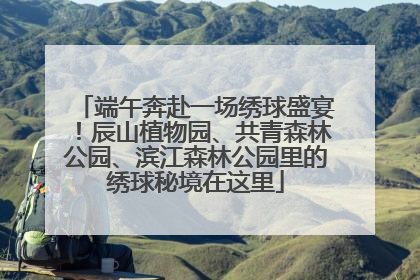 端午奔赴一场绣球盛宴！辰山植物园、共青森林公园、滨江森林公园里的绣球秘境在这里