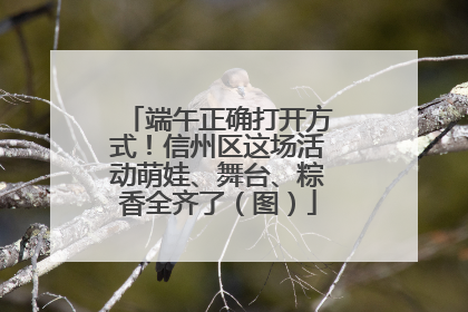 端午正确打开方式！信州区这场活动萌娃、舞台、粽香全齐了（图）