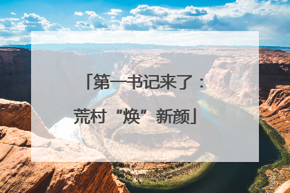 第一书记来了：荒村“焕”新颜