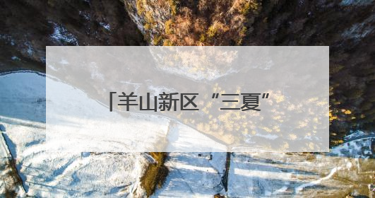 羊山新区“三夏”生产全面发力，护航农业稳产增收