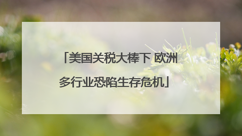 美国关税大棒下 欧洲多行业恐陷生存危机