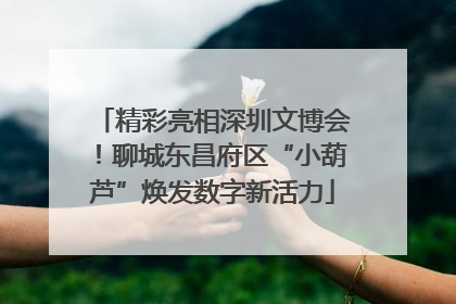精彩亮相深圳文博会！聊城东昌府区“小葫芦”焕发数字新活力
