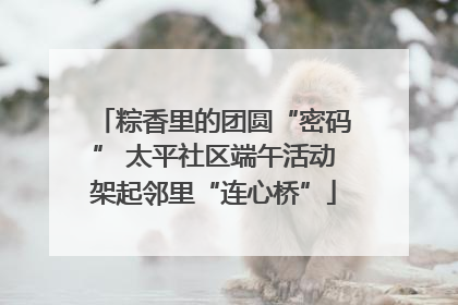 粽香里的团圆“密码” 太平社区端午活动架起邻里“连心桥”