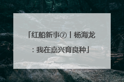 红船新事⑦丨杨海龙：我在嘉兴育良种