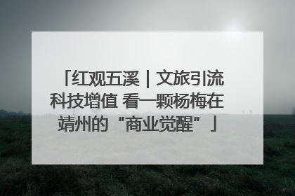 红观五溪｜文旅引流 科技增值 看一颗杨梅在靖州的“商业觉醒”