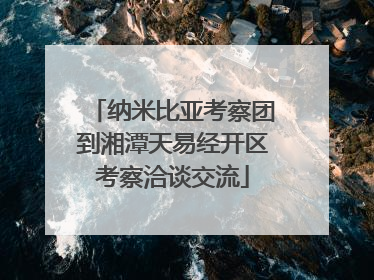 纳米比亚考察团到湘潭天易经开区考察洽谈交流