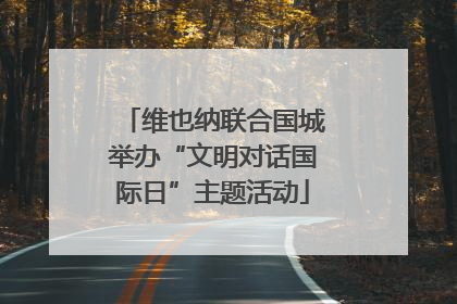 维也纳联合国城举办“文明对话国际日”主题活动