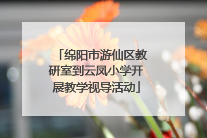 绵阳市游仙区教研室到云凤小学开展教学视导活动