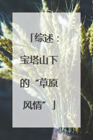 综述：宝塔山下的“草原风情”