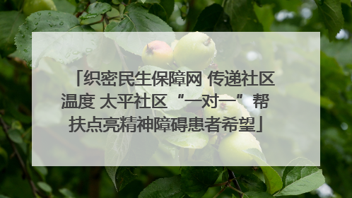 织密民生保障网 传递社区温度 太平社区“一对一”帮扶点亮精神障碍患者希望