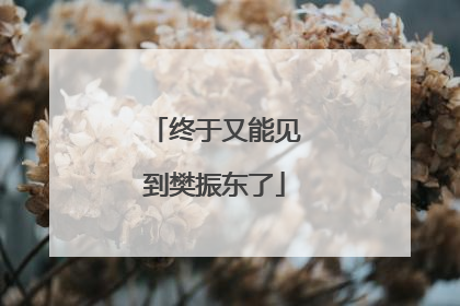 终于又能见到樊振东了