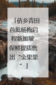 侨乡青田首批杨梅启程新加坡 保鲜提质售出“金果果”