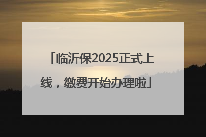 临沂保2025正式上线，缴费开始办理啦