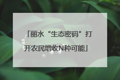 丽水“生态密码”打开农民增收N种可能