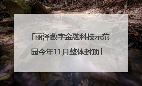 丽泽数字金融科技示范园今年11月整体封顶