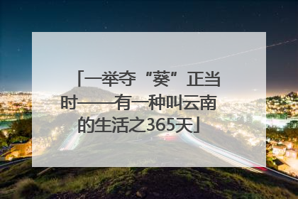 一举夺“葵”正当时——有一种叫云南的生活之365天