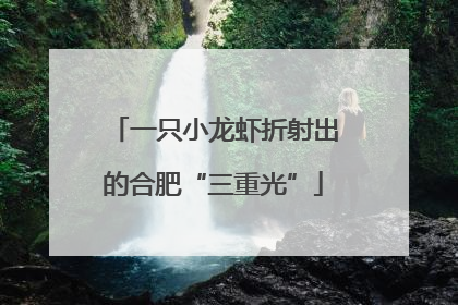 一只小龙虾折射出的合肥“三重光”