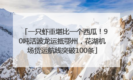 一只虾重堪比一个西瓜！90吨活波龙运抵鄂州，花湖机场货运航线突破100条